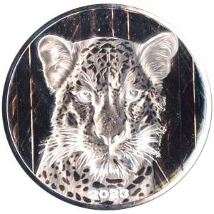 Bild von 1 oz Silbermünze Afrika Ghana Leopard - 2023