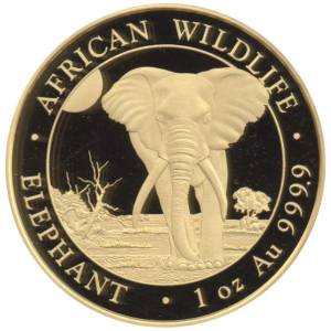 Bild von 1 oz Somalia Elefant Gold - 2025